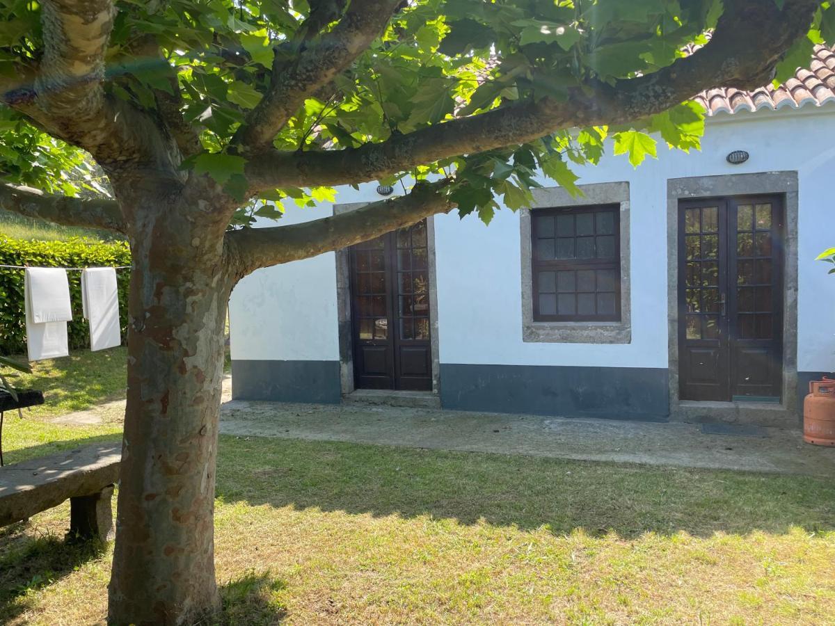 Moradia Rustica Jardim Villa Caloura Eksteriør bilde